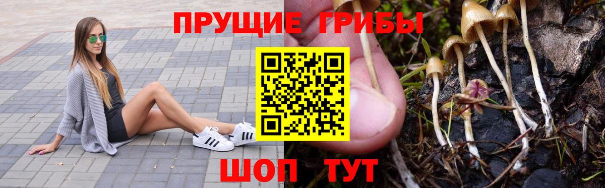 Галлюциногенные грибы мухоморы  Вход с VPN  Шали  Галлюциногенные грибы MAGIC MUSHROOMS 